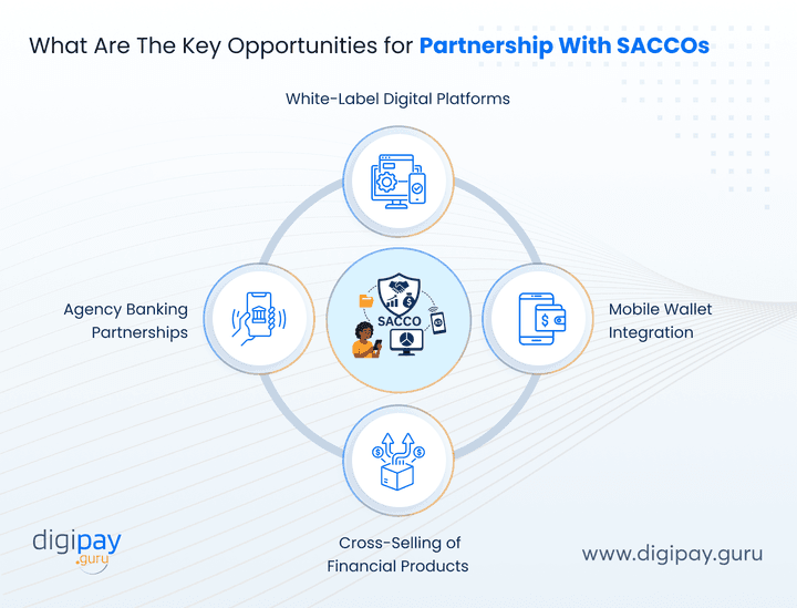 what-are-the-key-opportunities-for-partnership-with-saccos