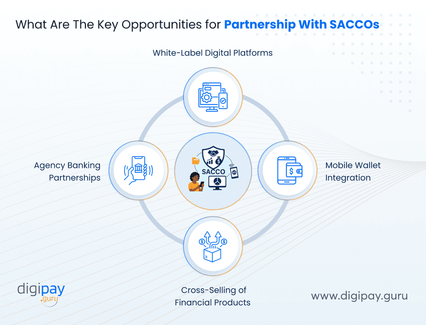 what-are-the-key-opportunities-for-partnership-with-saccos